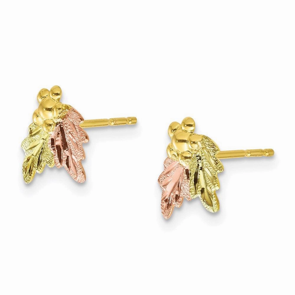 10k Tri-color Black Hills Gold Post Earrings