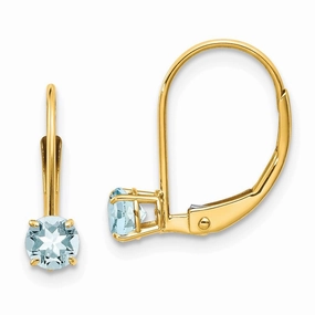14k Aquamarine Earrings - March