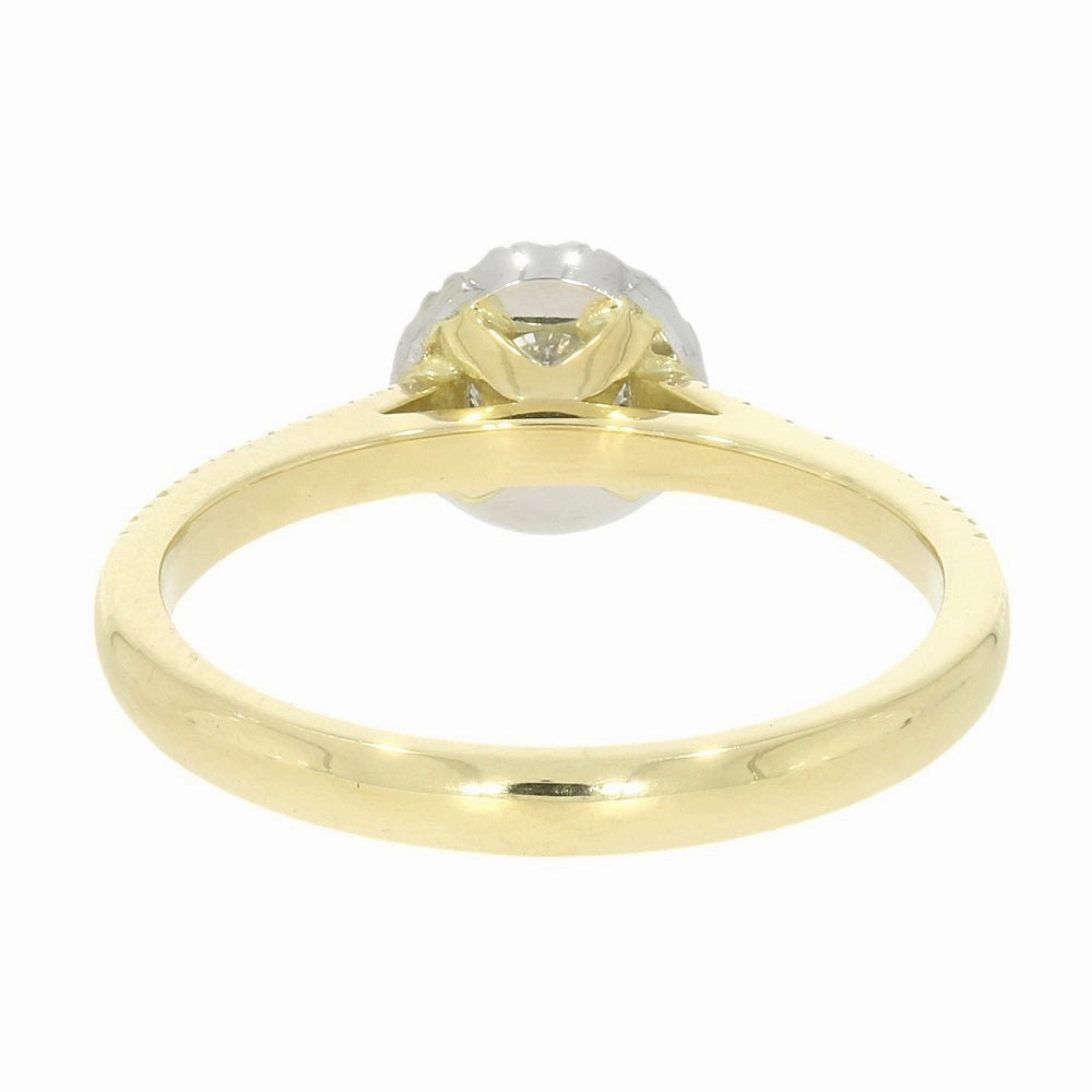 18ct Yellow Gold and Platinum Brilliant Cut 0.28ct Diamond Halo Cluster Ring