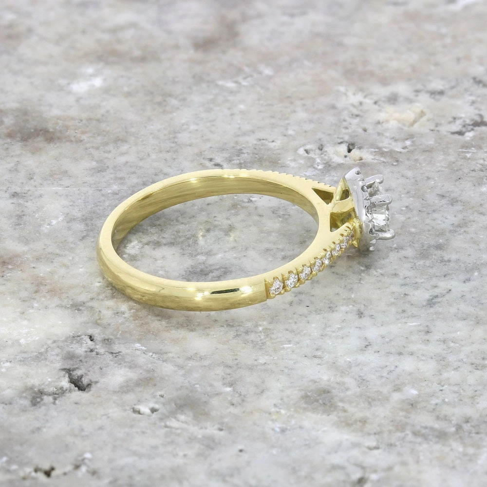 18ct Yellow Gold and Platinum Brilliant Cut 0.28ct Diamond Halo Cluster Ring
