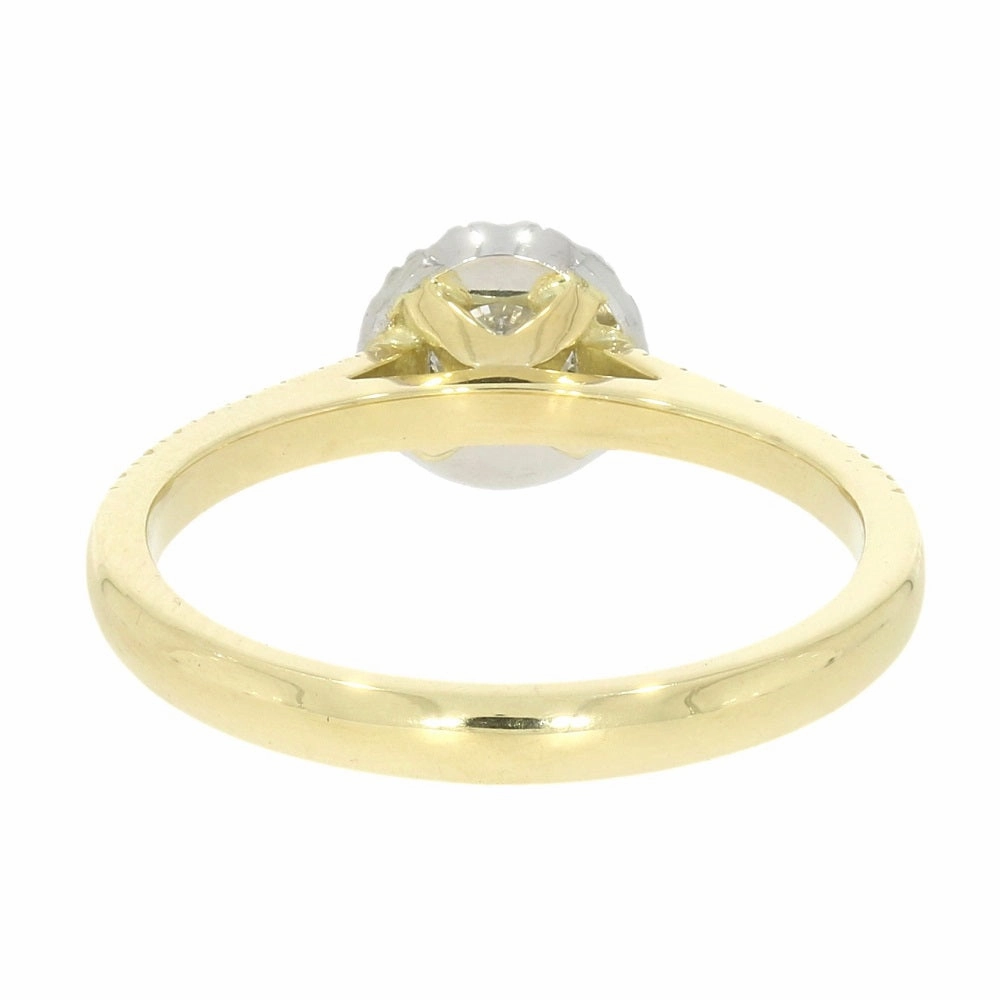 18ct Yellow Gold and Platinum Brilliant Cut 0.28ct Diamond Halo Cluster Ring
