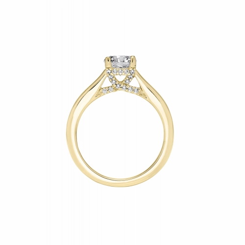 Artcarved Engagement Ring 31-V672ERY-E