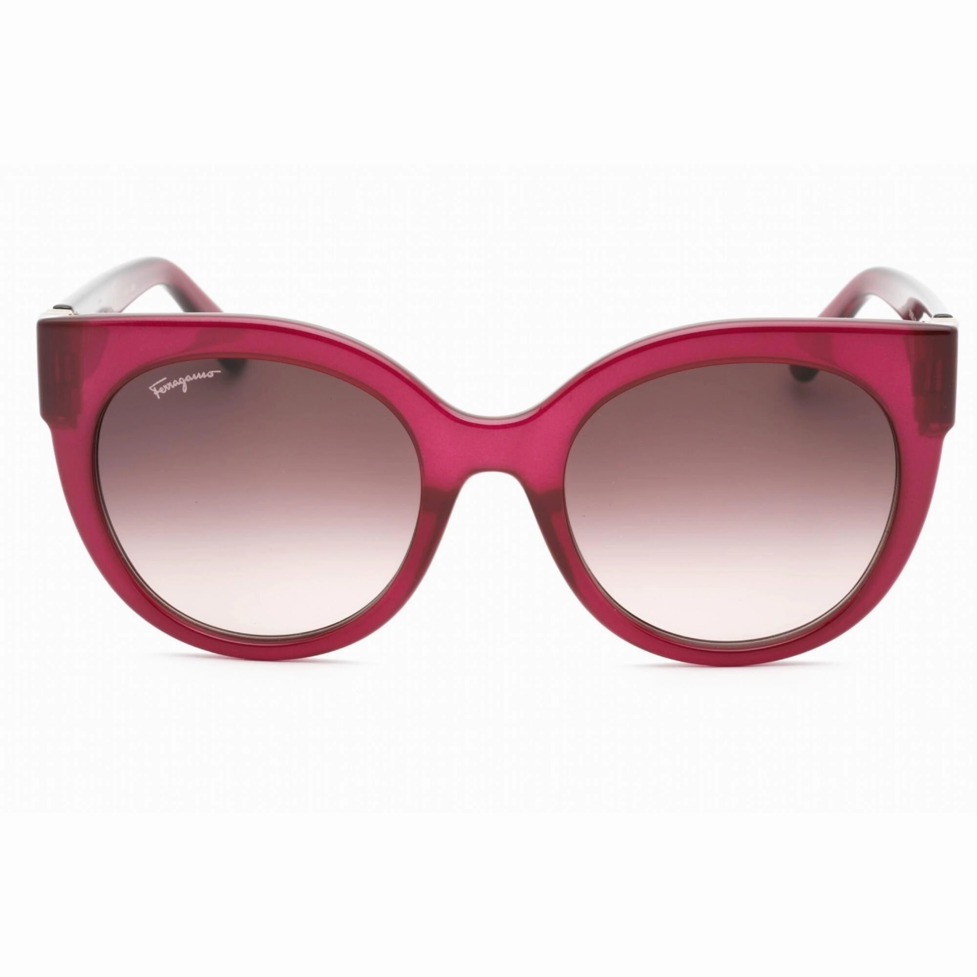 Salvatore Ferragamo Women's Sunglasses - Crystal Purple Full Rim Frame | SF1031S 513